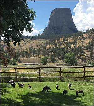 i.	Devils Tower national monument; Devils Tower camping